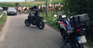 Sport.es – RODIBOOK 2018: Una ruta con mucho encanto que te atrapa