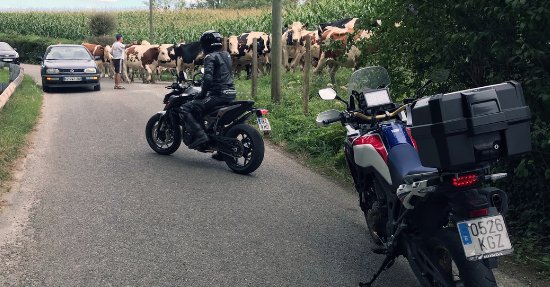Sport.es - Rodibook 2018: Una ruta con mucho encanto que te atrapa